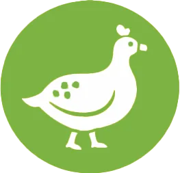 Perliczka Pastwiskowa